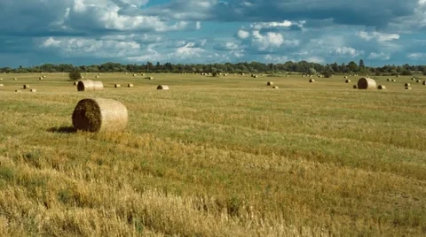 Boundless Field Haystack Stock Footage 67457190