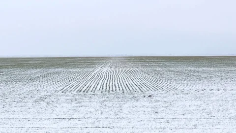Boundless fields in winter 스톡 동영상 78926506