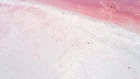 Boundless nature scenery pink salt lake water Stock Footage 114574829