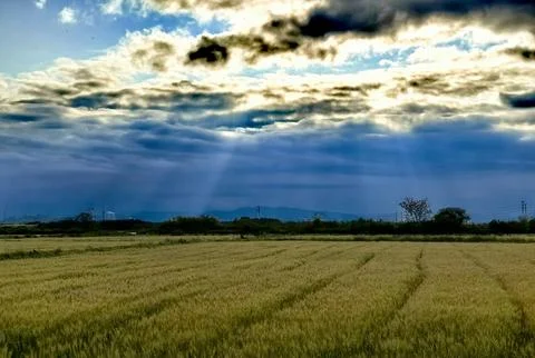 Boundless Tranquility The Beauty of Blue Sky and White Clouds Stock Photos