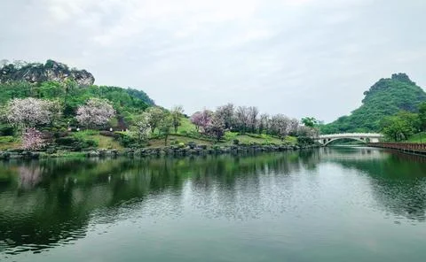 Boundless Tranquility The Beauty of Blue Sky and White Clouds 스톡 사진