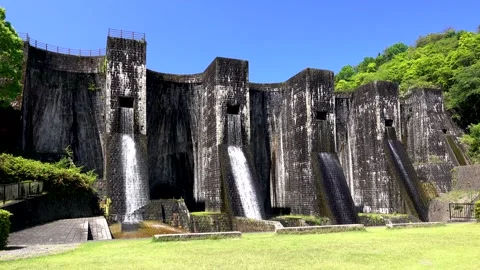 Bountiful Rice Field Dam 스톡 동영상 332351218