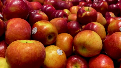Bounty of apples Vídeos de archivo 163939747