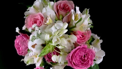 Bouqiet Vídeo Stock 78352652