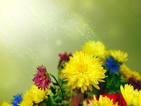 Bouquet 01 Stock Illustration