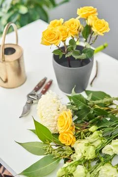 Bouquet 012. step by step installation of flowers in a vase. Flowers bunch, set Stock Photos