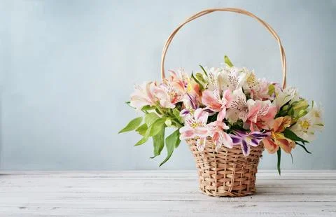 Bouquet alstroemeria Stock Photos