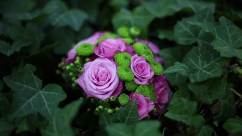 Bouquet of amber 動画素材 72118302