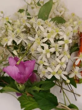 A bouquet of assorted flowers Stock Photos