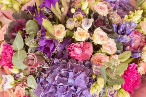 A bouquet of assorted flowers. Roses, hydrangea, carnations Stock Photos
