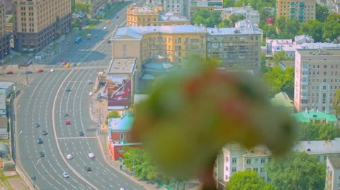 The bouquet on the background of the city Stock Footage 65212987
