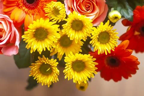 Bouquet of beautiful bright flowers. Floral composition. Stock Photos