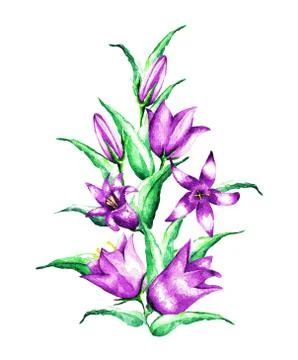 Bouquet of bells Stock Illustration