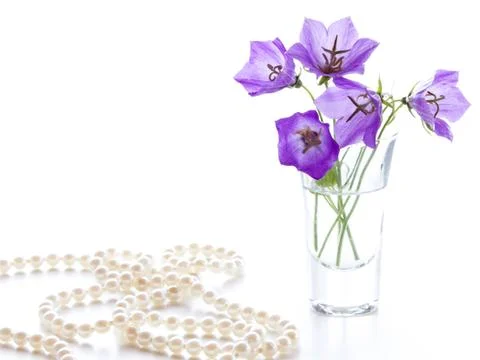 Bouquet of bells Stock Photos