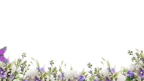 Bouquet of blue irises Stock-Footage 70601484