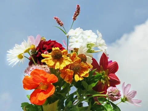 Bouquet on blue sky background Stock Photos