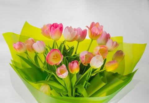 Bouquet of bright multi-colored spring tulips on a white background. Foto stock