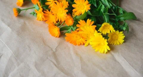 Bouquet of calendula Stock Photos