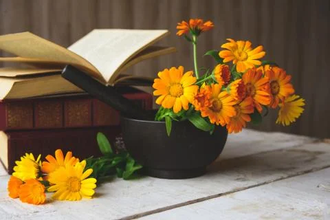 Bouquet of calendula Stock Photos
