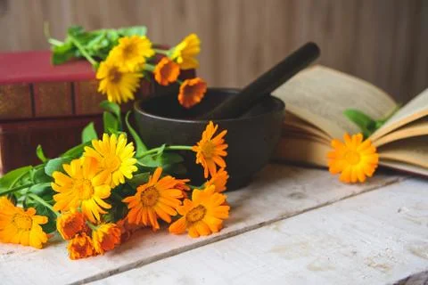 Bouquet of calendula Stock Photos
