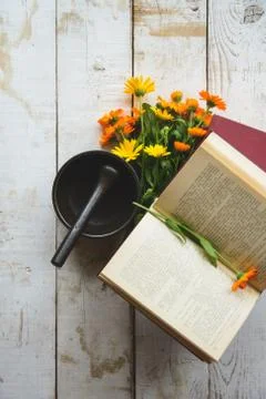 Bouquet of calendula Stock Photos