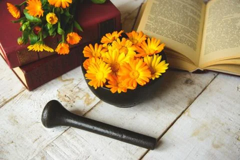 Bouquet of calendula Stock Photos
