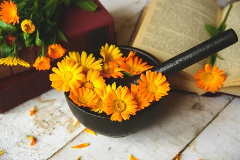 Bouquet of calendula Stock Photos