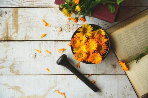 Bouquet of calendula Stock Photos