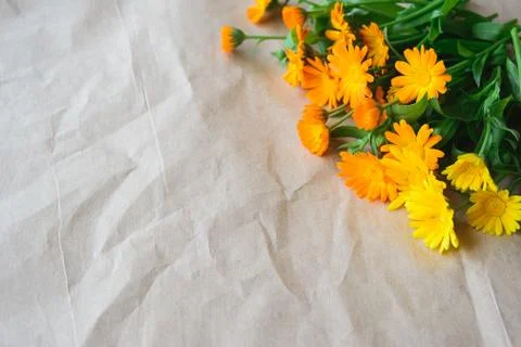 Bouquet of calendula Stock Photos