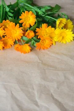 Bouquet of calendula Stock Photos