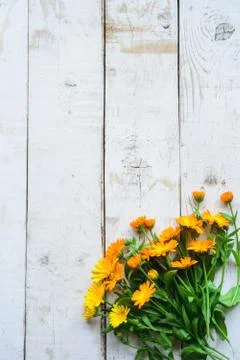 Bouquet of calendula Stock Photos