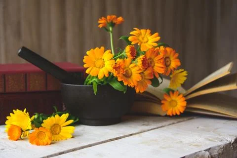 Bouquet of calendula Stock Photos