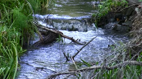 Bouquet Canyon small waterfall Stock Footage 47873014