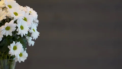 Bouquet of chrysanthemum chic Stock Footage 106482417
