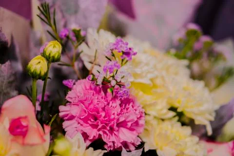 A bouquet of close-up. Stock-Fotos