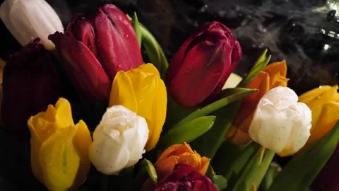 Bouquet of colored tulips close-up Stock Footage 247608017