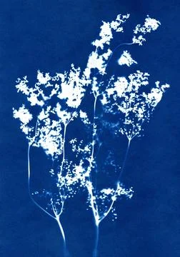 Bouquet composition. Stock Illustration