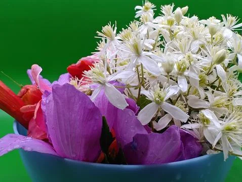 Bouquet composition Foto stock