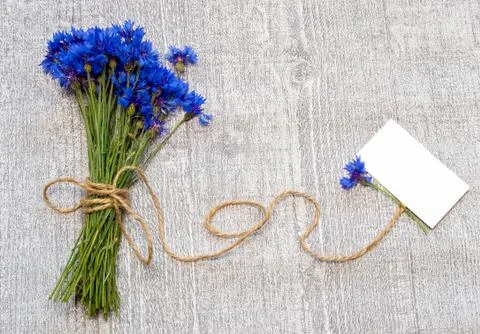 Bouquet of cornflowers and label for text. Stock Photos