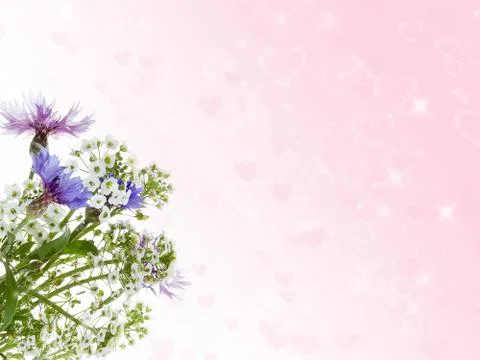 Bouquet of cornflowers. Stock Photos