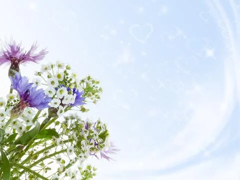 Bouquet of cornflowers. Foto stock
