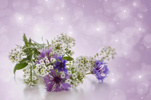 Bouquet of cornflowers. Stock Photos