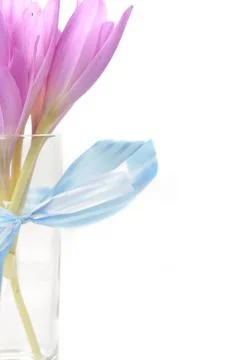 Bouquet of crocus Stock Photos