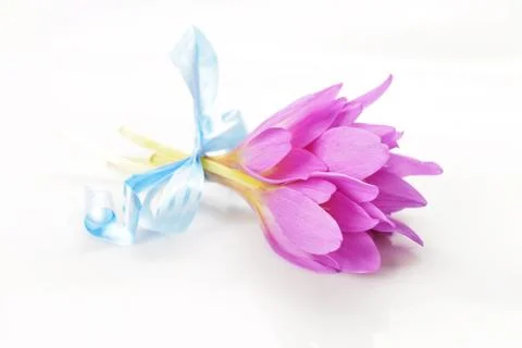 Bouquet of crocus Foto stock