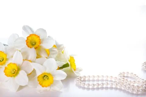 Bouquet of daffodils Stock Photos