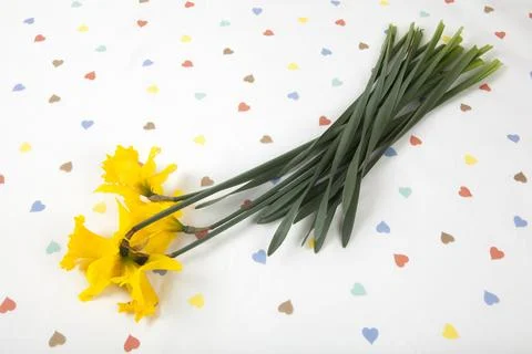 A bouquet of daffodils placed on a tablecloth patterned with multiple color.. 스톡 사진
