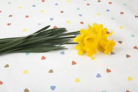 A bouquet of daffodils placed on a tablecloth patterned with multiple color.. 스톡 사진