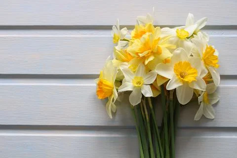 Bouquet of daffodils on white as a background. an empty space for your text. Stock-Fotos