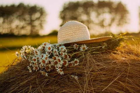 A bouquet of daisies, a hat is lying on a haystack, in a field Foto stock