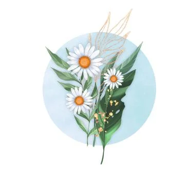 Bouquet of daisies Stock-Illustration